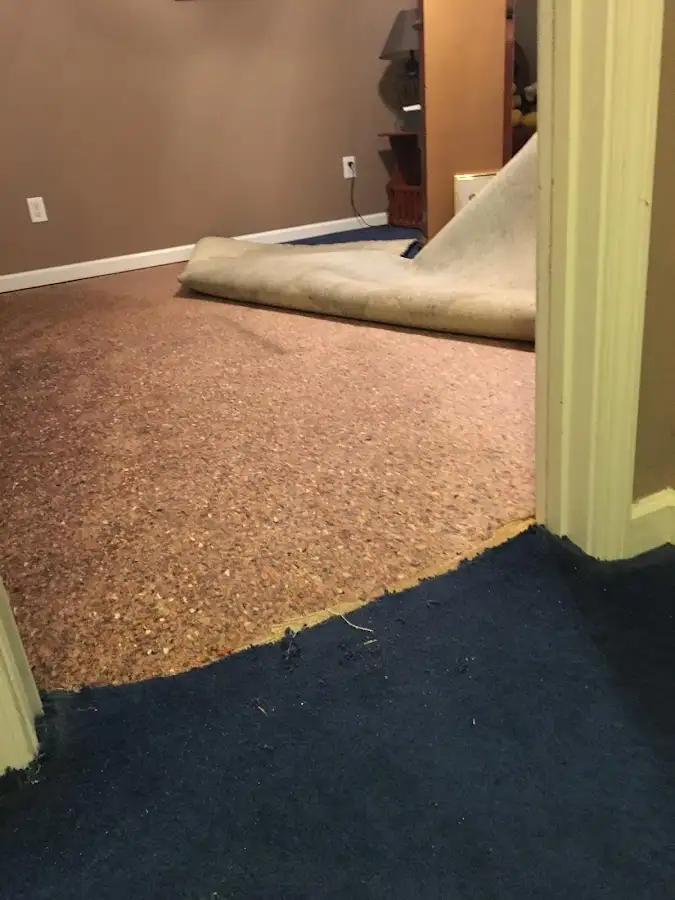 Carpet pad removal revealing water damage during Water Mitigation Services in Timberlake