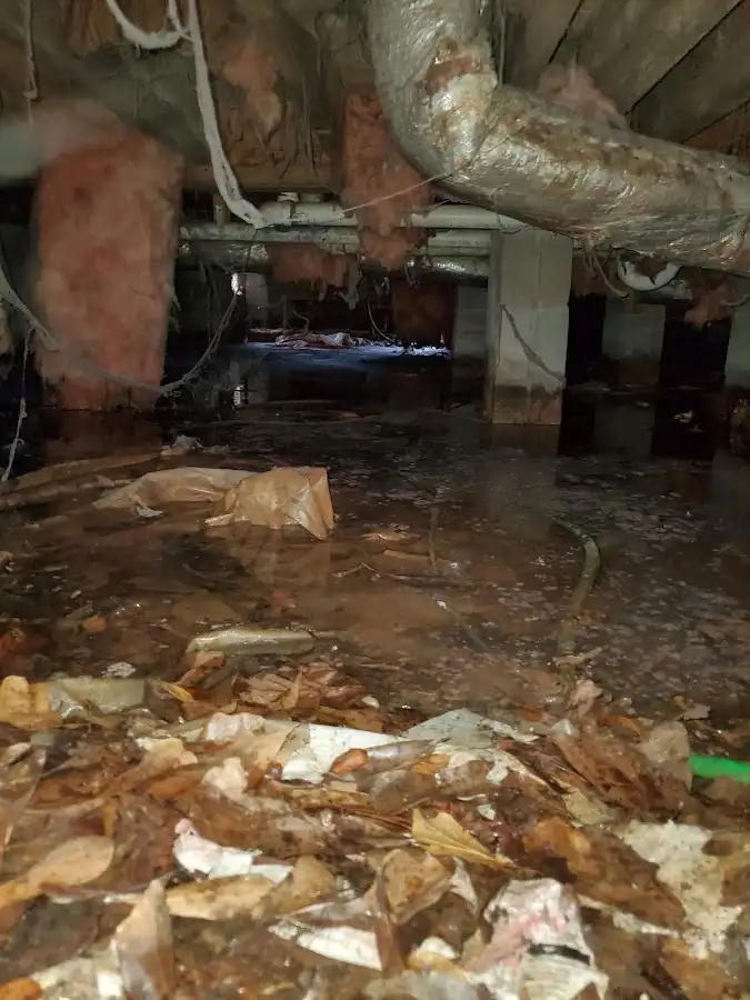 Crawl space flood assessment for Leak Detection & Repair in Timberlake